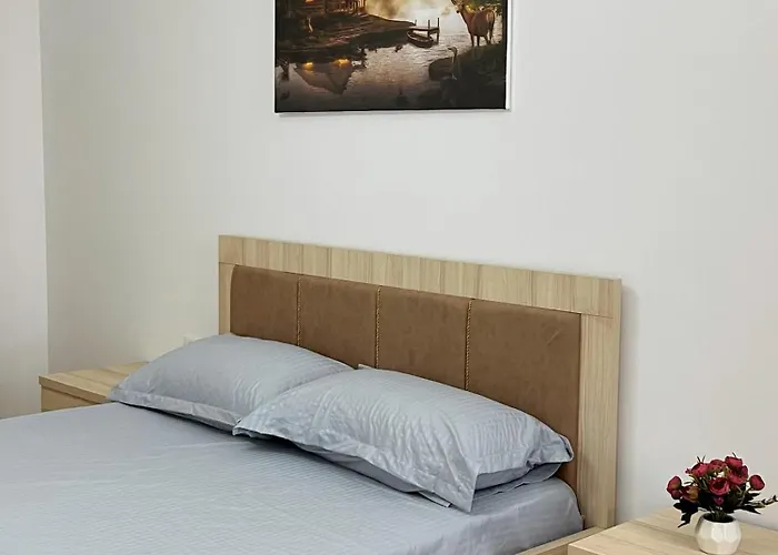 Tirana City Rental Apartments 公寓 地拉那